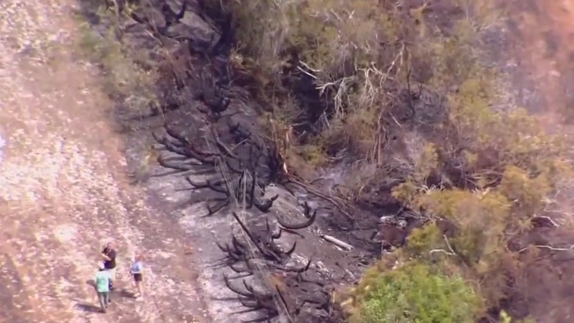 Small plane crash sparks brush fire in Myakka City